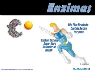 http://www.sjs-health-shop.com/enzymes.htm Marilvia 2011/02 