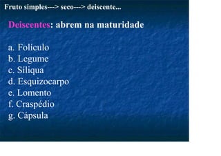 Fruto simples---> seco---> deiscente...
Deiscentes: abrem na maturidade
a. Folículo
b. Legume
c. Síliqua
d. Esquizocarpo
e. Lomento
f. Craspédio
g. Cápsula
 