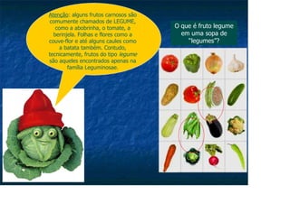 O que é fruto legume
em uma sopa de
“legumes”?
Atenção: alguns frutos carnosos são
comumente chamados de LEGUME,
como a abobrinha, o tomate, a
berinjela. Folhas e flores como a
couve-flor e até alguns caules como
a batata também. Contudo,
tecnicamente, frutos do tipo legume
são aqueles encontrados apenas na
família Leguminosae.
 