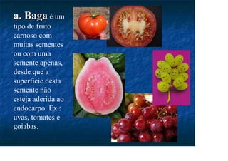 a. Baga
a. Baga é um
tipo de fruto
carnoso com
muitas sementes
ou com uma
semente apenas,
desde que a
superfície desta
semente não
esteja aderida ao
endocarpo. Ex.:
uvas, tomates e
goiabas.
 