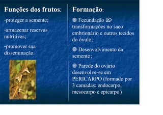 Funções dos frutos:
-proteger a semente;
-armazenar reservas
nutritivas;
-promover sua
disseminação.
Formação:
Fecundação
transformações no saco
embrionário e outros tecidos
do óvulo;
Desenvolvimento da
semente;
Parede do ovário
desenvolve-se em
PERICARPO (formado por
3 camadas: endocarpo,
mesocarpo e epicarpo)
 