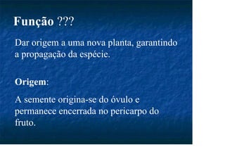 Função ???
Dar origem a uma nova planta, garantindo
a propagação da espécie.
Origem:
A semente origina-se do óvulo e
permanece encerrada no pericarpo do
fruto.
 