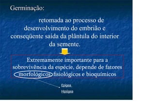 Germinação:
Germinação:
retomada ao processo de
desenvolvimento do embrião e
conseqüente saída da plântula do interior
da semente.
Extremamente importante para a
sobrevivência da espécie, depende de fatores
morfológicos, ﬁsiológicos e bioquímicos
Epígea
Hipógea
 