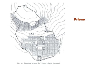 Priene
 