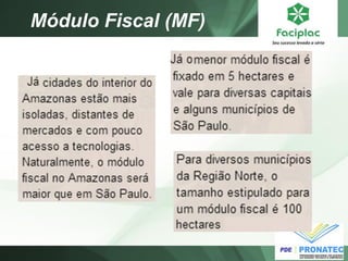 Módulo Fiscal (MF)  