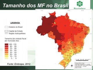Tamanho dos MF no Brasil 
Fonte: Embrapa, 2012.  