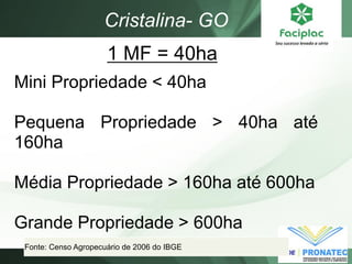 Fonte: Censo Agropecuário de 2006 do IBGE 
Mini Propriedade < 40ha Pequena Propriedade > 40ha até 160ha Média Propriedade > 160ha até 600ha Grande Propriedade > 600ha 
1 MF = 40ha 
Cristalina- GO  