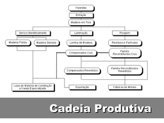 Cadeia Produtiva
 