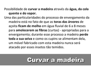Possibilidade de curvar a madeira através da água, da cola
   quente e do vapor.
Uma das particularidades do processo de envergamento da
   madeira está no fato de que as toras das árvores de
   açoita ficam de molho em água fluvial de 6 a 8 meses
   para amolecerem as fibras (curtas) - apropriadas para a
   envergamento; durante esse processo a madeira perde
   toda a sua seiva e como os cupins se alimentam dela,
   um móvel fabricado com esta madeira nunca será
   atacado por esses insetos tão temidos.


               Curvar a madeira
 