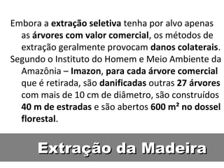 Embora a extração seletiva tenha por alvo apenas
  as árvores com valor comercial, os métodos de
  extração geralmente provocam danos colaterais.
Segundo o Instituto do Homem e Meio Ambiente da
  Amazônia – Imazon, para cada árvore comercial
  que é retirada, são danificadas outras 27 árvores
  com mais de 10 cm de diâmetro, são construídos
  40 m de estradas e são abertos 600 m² no dossel
  florestal.


      Extração da Madeira
 