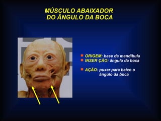 MÚSCULO ABAIXADOR
DO ÂNGULO DA BOCA
 ORIGEM: base da mandíbula
 INSER ÇÃO: ângulo da boca
 AÇÃO: puxar para baixo o
ângulo da boca
 