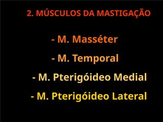 2. MÚSCULOS DA MASTIGAÇÃO
- M. Masséter
- M. Temporal
- M. Pterigóideo Medial
- M. Pterigóideo Lateral
 