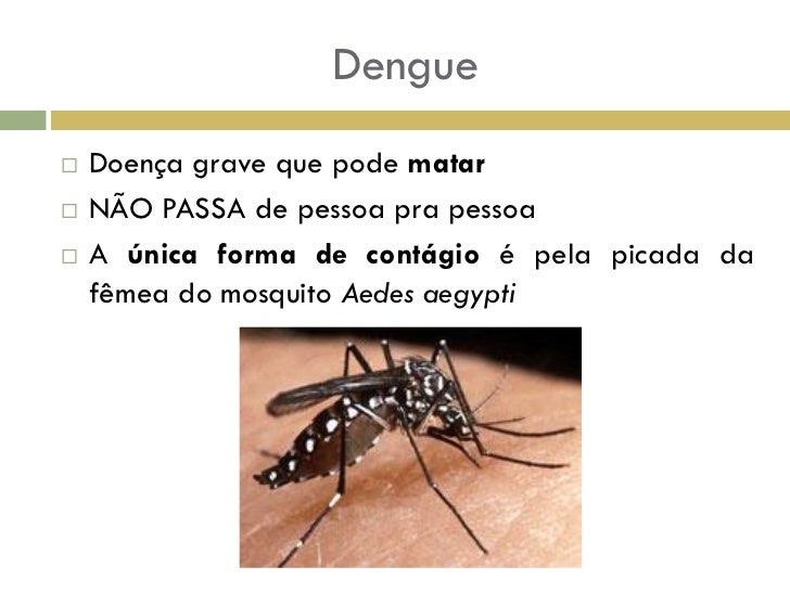 Como beber a tintura tansy em parasitas