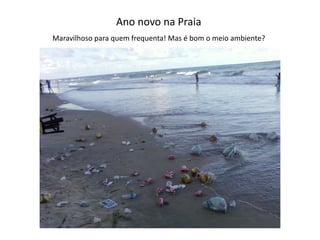 Ano  novo  na  Praia
Maravilhoso  para  quem  frequenta!  Mas  é  bom  o  meio  ambiente?
 