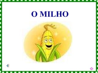 O MILHO 