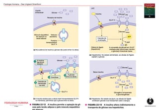 Fisiologia Humana – Dee Unglaub Silverthorn
 