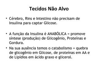 Tecidos Não Alvo
• Cérebro, Rins e Intestino não precisam de
Insulina para captar Glicose.
• A função da Insulina é ANABÓLICA = promove
síntese (produção) de Glicogênio, Proteínas e
Gordura.
• Na sua ausência temos o catabolismo = quebra
de glicogênio em Glicose, de proteínas em AA e
de Lipídios em ácido graxo e glicerol.
 