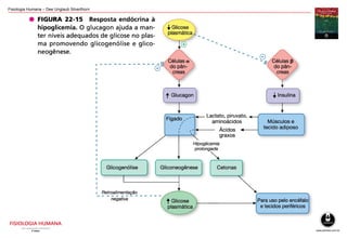 Fisiologia Humana – Dee Unglaub Silverthorn
 