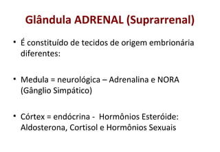 Glândula ADRENAL (Suprarrenal)
• É constituído de tecidos de origem embrionária
diferentes:
• Medula = neurológica – Adrenalina e NORA
(Gânglio Simpático)
• Córtex = endócrina - Hormônios Esteróide:
Aldosterona, Cortisol e Hormônios Sexuais
 