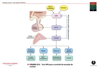 Fisiologia Humana – Dee Unglaub Silverthorn
 