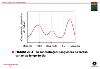 Fisiologia Humana – Dee Unglaub Silverthorn
 