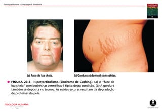 Fisiologia Humana – Dee Unglaub Silverthorn
 