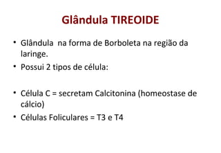 Glândula TIREOIDE
• Glândula na forma de Borboleta na região da
laringe.
• Possui 2 tipos de célula:
• Célula C = secretam Calcitonina (homeostase de
cálcio)
• Células Foliculares = T3 e T4
 