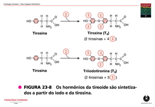Fisiologia Humana – Dee Unglaub Silverthorn
 