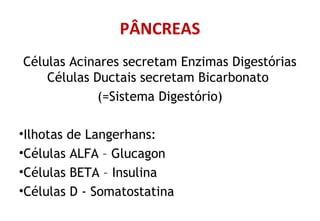 PÂNCREAS
Células Acinares secretam Enzimas Digestórias
Células Ductais secretam Bicarbonato
(=Sistema Digestório)
•Ilhotas de Langerhans:
•Células ALFA – Glucagon
•Células BETA – Insulina
•Células D - Somatostatina
 