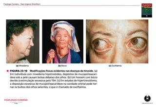 Fisiologia Humana – Dee Unglaub Silverthorn
 