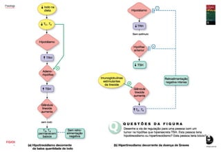 Fisiologia Humana – Dee Unglaub Silverthorn
 