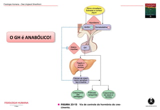 Fisiologia Humana – Dee Unglaub Silverthorn
O GH é ANABÓLICO!O GH é ANABÓLICO!
 