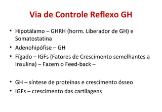 Via de Controle Reflexo GH
• Hipotálamo – GHRH (horm. Liberador de GH) e
Somatostatina
• Adenohipófise – GH
• Fígado – IGFs (Fatores de Crescimento semelhantes a
Insulina) – Fazem o Feed-back –
• GH – síntese de proteínas e crescimento ósseo
• IGFs – crescimento das cartilagens
 