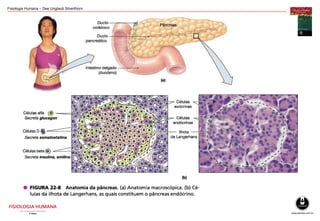 Fisiologia Humana – Dee Unglaub Silverthorn
 