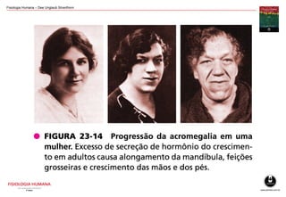 Fisiologia Humana – Dee Unglaub Silverthorn
 