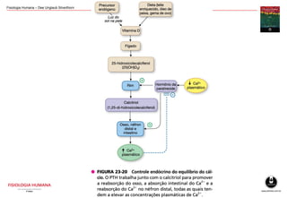 Fisiologia Humana – Dee Unglaub Silverthorn
 