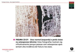 Fisiologia Humana – Dee Unglaub Silverthorn
 