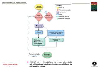 Fisiologia Humana – Dee Unglaub Silverthorn
 
