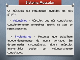 Anatomia - Sistema Muscular