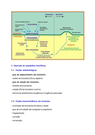 Área de habitat próximo
Fossilização
rápida
BIOSFERA
BIOCENOSE
PASSADO RECENTE
Orogenia
TANATOCENOSE
ORICTOCENOSE
LITOSFERA
Ausência de
metamorfismo
Profundidade
adequada
Ausência de erosão
durante milhões de anos
Soerguimento antes da
erosão das camadas superiores
Novo soerguimento
resultando no
afloramento das
camadas
Afloramento
(depósito fossilífero)
Erosão atual
Soterramento
rápido
Acumulação de
restos
Morte em massa
Área de sedimentação
Densidade
populacional
elevada
Ausência de
erosão e de
dispersão
secundária
TAFOCENOSE
2. Descrição de assembléias fossilíferas
2.1. Feições sedimentológicas
- grau de empacotamento dos bioclastos;
- volume de bioclastos (%) no depósito;
- grau de seleção dos bioclastos;
- tamanho dos bioclastos;
- relação (%) de bioclastos e matriz;
- estruturas sedimentares inorgânicas e biogênicas associadas
2.2. Feições bioestratinômicas dos bioclastos
- orientação dos bioclastos em planta e seção;
- grau de articulação das carapaças ou esqueletos;
- fragmentação;
- corrosão;
- incrustação
 