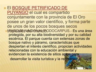  El BOSQUE PETRIFICADO DE
PUYANGO el cual es compartido
conjuntamente con la provincia de El Oro
posee un gran valor científico, y forma parte
de unos de los pocos bosques secos
tropicales del mundo. PARQUE NACIONAL PODOCARPUS.- Es una área
protegida, por su alta biodiversidad y por su calidad
escénica. El parque cuenta con extensas zonas de
bosque nativo y páramo, características que
despiertan el interés científico, propician actividades
relacionadas con la educación ambiental y
evidencian la existencia de sitios aptos para
desarrollar la visita turística y la recreación.
 