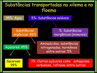 Substâncias transportadas no xilema e no
floema
95%: Água
Água
95%

5%: Substâncias solúveis

Substâncias
solúveis

Substâncias
orgânicas: 98%

Açúcares: 95%

Sacarose:
99%

%: Substâncias
inorgânicas (minerais)
Aminoácidos, substâncias
nitrogenadas, hormônios
entre outras: 5%

1%: Outros açúcares como estaquiose,
verbanose, rafinose entre outras

 