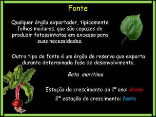 Fonte
Qualquer órgão exportador, tipicamente
folhas maduras, que são capazes de
produzir fotossintatos em excesso para
suas necessidades.
Outro tipo de fonte é um órgão de reserva que exporta
durante determinada fase de desenvolvimento.

Beta maritima
Estação de crescimento do 1º ano: dreno

2ª estação de crescimento: fonte

 