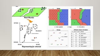 DADOS VETORIAIS (Continuo)
• São usados para representar objetos lineares (linhas e polilinhas) ou áreas definidas
por linhas fechadas (polígonos), points – nós ou vértices), cada um com suas
respectivas coordenadas XY ou XYZ.
• Cada objeto vetorial pode possuir vários (ou nenhum) atributos, armazenados em um
banco de dados;
• Utilizam menos memória e têm menor tempo de processamento na maioria das
análises;
• Podem possuir relações de vizinhança (topologia) (depende do programa e do tipo de
arquivo);
• Dados pontuais podem ser considerados uma forma especial de dados vetoriais.
 