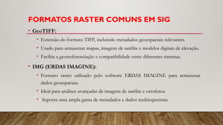 FORMATOS RASTER COMUNS EM SIG
• GeoTIFF:
• Extensão do formato TIFF, incluindo metadados geoespaciais relevantes.
• Usado para armazenar mapas, imagens de satélite e modelos digitais de elevação.
• Facilita a georreferenciação e compatibilidade entre diferentes sistemas.
• IMG (ERDAS IMAGINE):
• Formato raster utilizado pelo software ERDAS IMAGINE para armazenar
dados geoespaciais.
• Ideal para análises avançadas de imagens de satélite e ortofotos.
• Suporta uma ampla gama de metadados e dados multiespectrais.
 