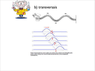 b) transversais
 