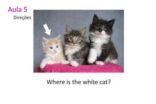 Aula 5
 Direções




            Where is the white cat?
 
