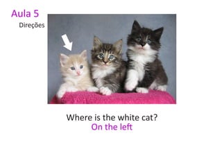 Aula 5
 Direções




            Where is the white cat?
                 On the left
 