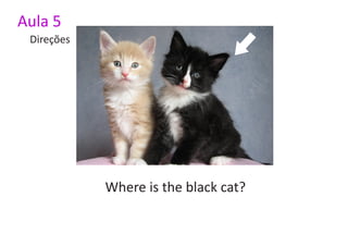 Aula 5
 Direções




            Where is the black cat?
 