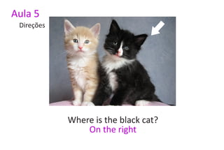 Aula 5
 Direções




            Where is the black cat?
                On the right
 